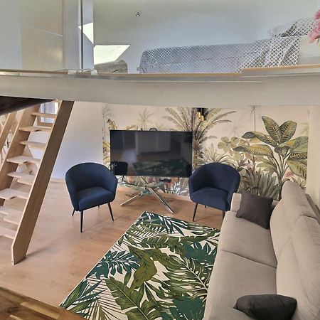 Jungle Loft Beziers Centre Apartment ภายนอก รูปภาพ