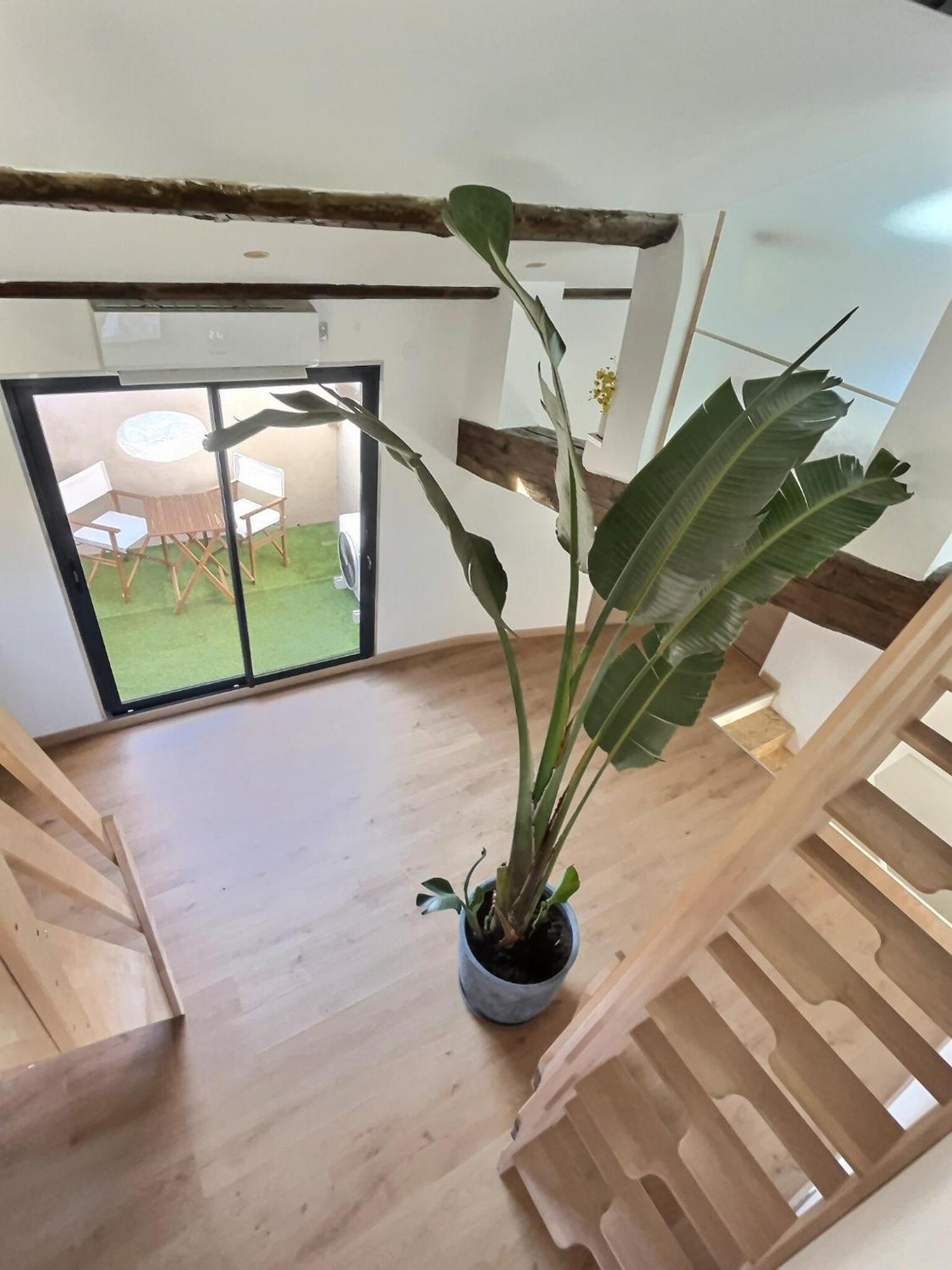 Jungle Loft Beziers Centre Apartment ภายนอก รูปภาพ