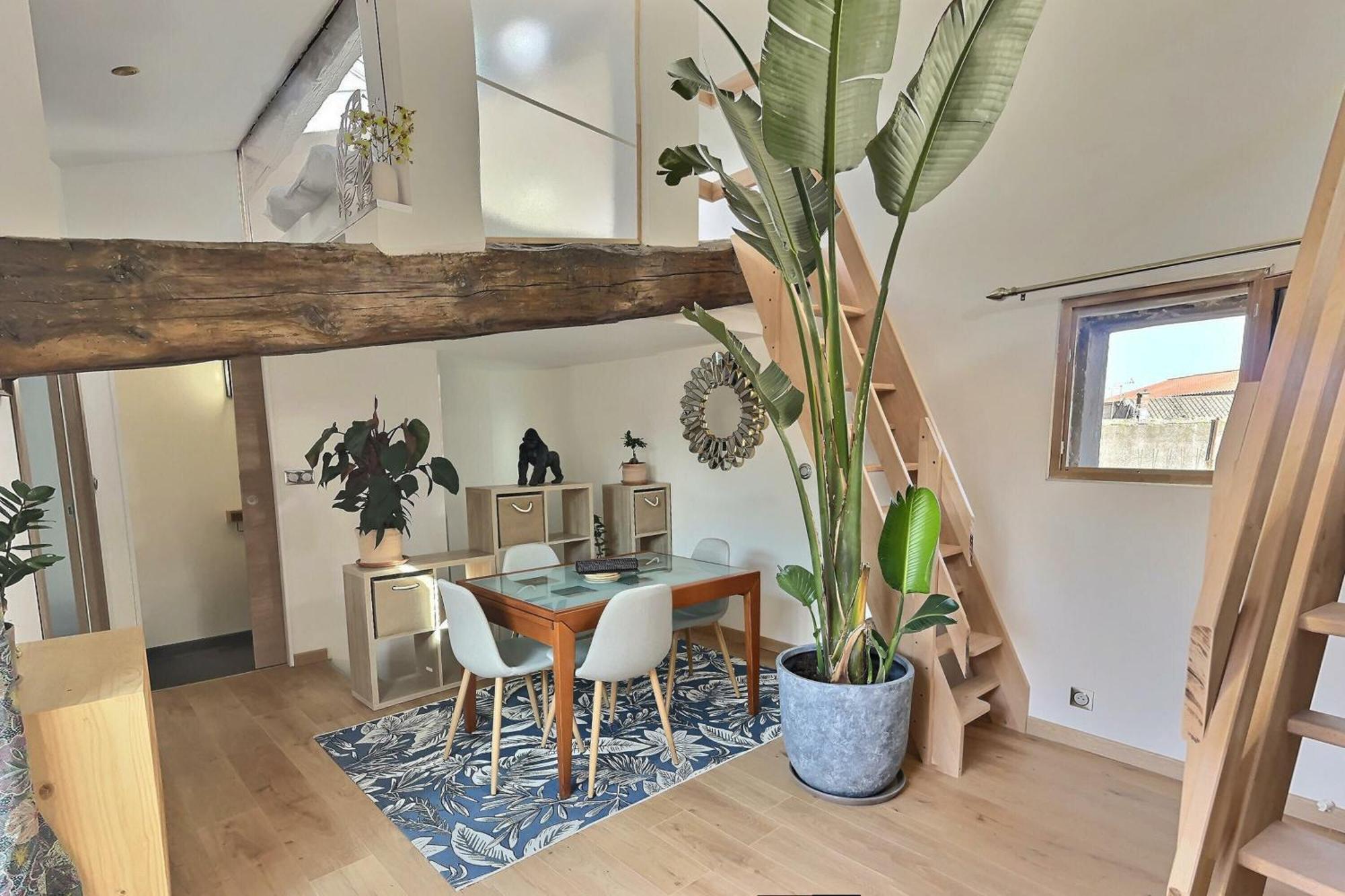 Jungle Loft Beziers Centre Apartment ภายนอก รูปภาพ